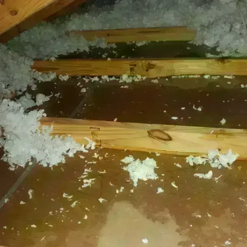 Attic Water Damage in Harrisburg, SD