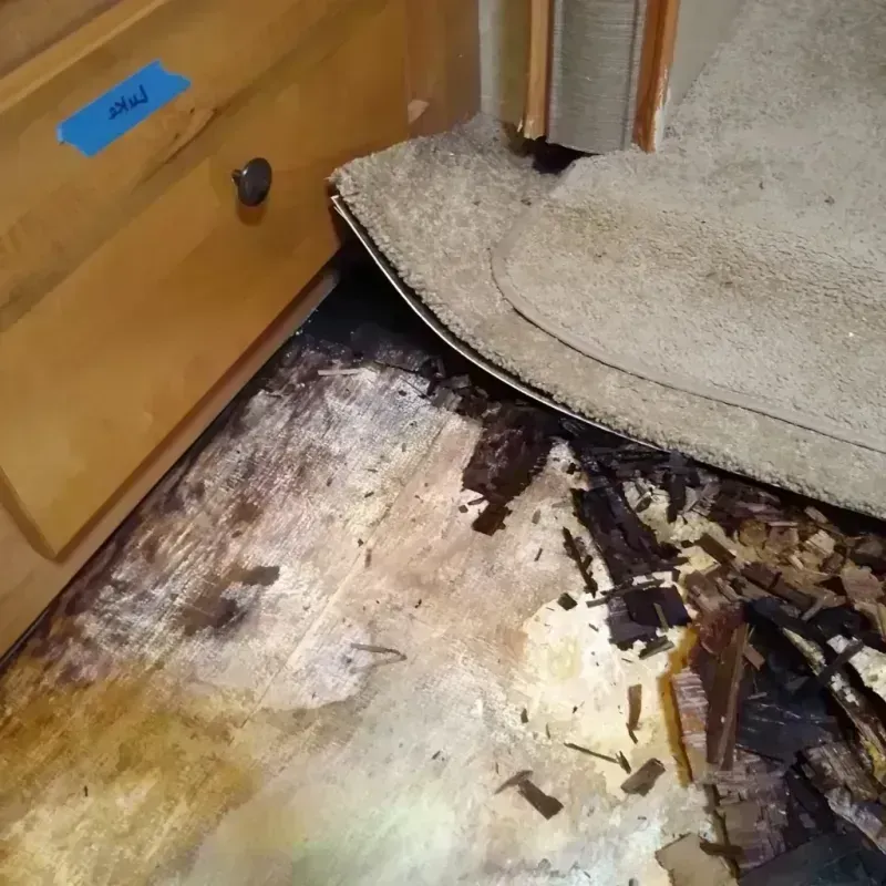 Wood Floor Water Damage in Harrisburg, SD